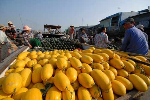 choang voi dua hau mien tay gia 1.500 dong/kg - 12