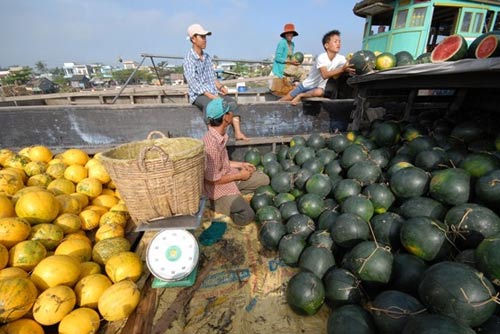 choang voi dua hau mien tay gia 1.500 dong/kg - 14