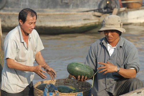 choang voi dua hau mien tay gia 1.500 dong/kg - 15