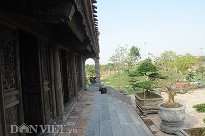 muc kich vuon cay canh bac ty o nam dinh - 11