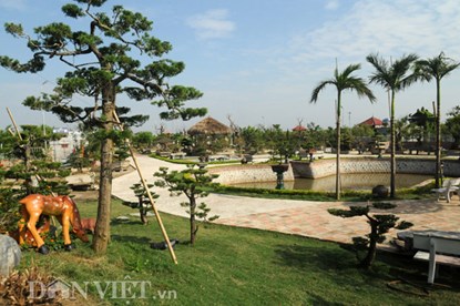 muc kich vuon cay canh bac ty o nam dinh - 9