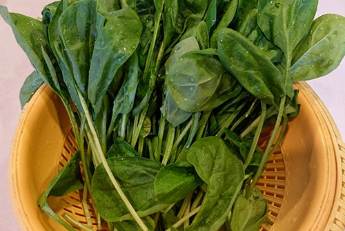 6 loại rau bổ não trẻ thông minh hay ăn - 3
