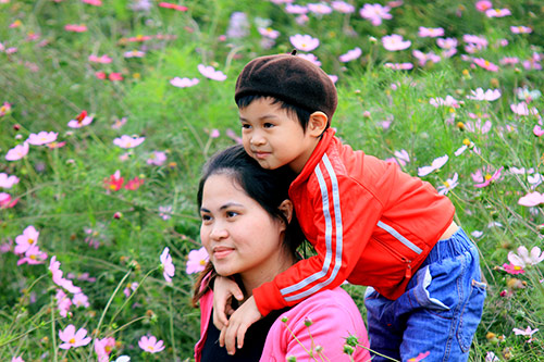 do xo chup anh tai thung lung hoa ho tay - 12