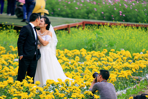 do xo chup anh tai thung lung hoa ho tay - 9