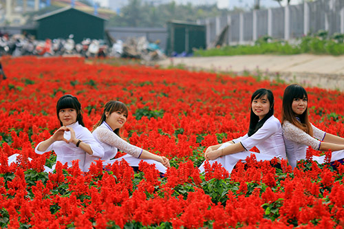 do xo chup anh tai thung lung hoa ho tay - 14