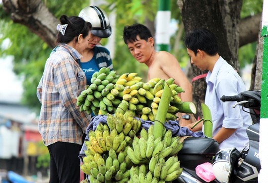 chuoi tet khan hiem, lam le tang gia ca chuc lan - 1