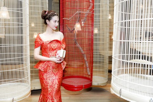 "loan nhip tim" truoc ve quyen ru cua mc quynh chi - 6