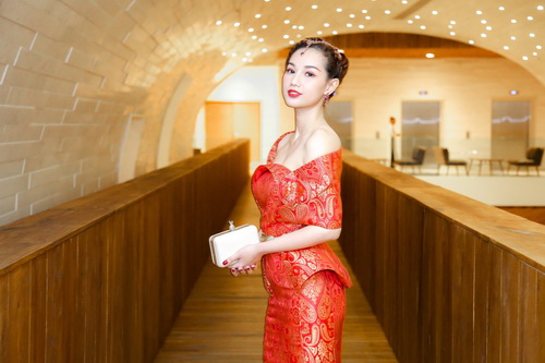 "loan nhip tim" truoc ve quyen ru cua mc quynh chi - 9