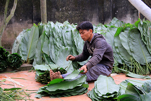 lang banh chung tranh khuc hoi ha chay tet - 4