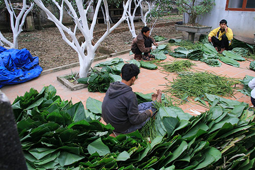 lang banh chung tranh khuc hoi ha chay tet - 1