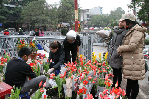 tulip viet gia 30 nghin hut nguoi mua - 5