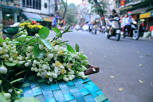 quyen ru huong buoi cuoi dong ha thanh - 15