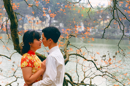 ha noi dep diu dang mua cay "tro la" - 10