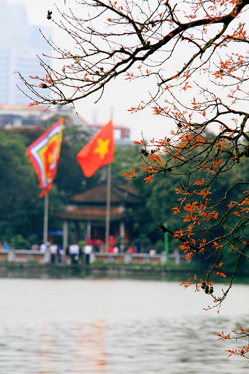 ha noi dep diu dang mua cay "tro la" - 17