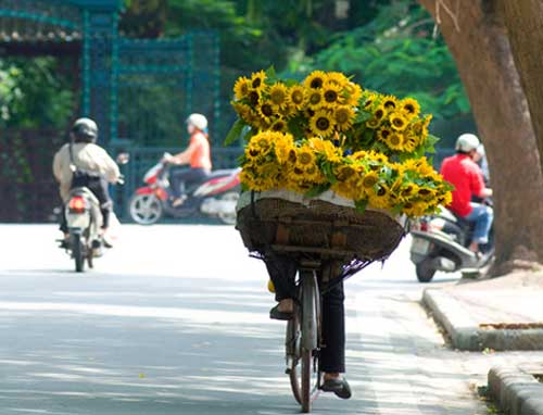 mien bac tiep tuc nang nong, co noi tren 38 do c - 1