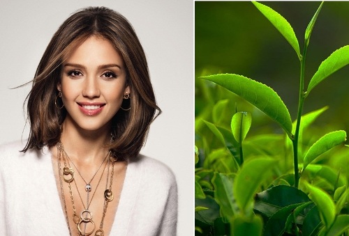 . Sử dụng lá trà xanh hằng ngày tăng kích thước mí