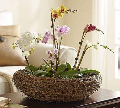 Làm giỏ hoa hình tổ chim - 4