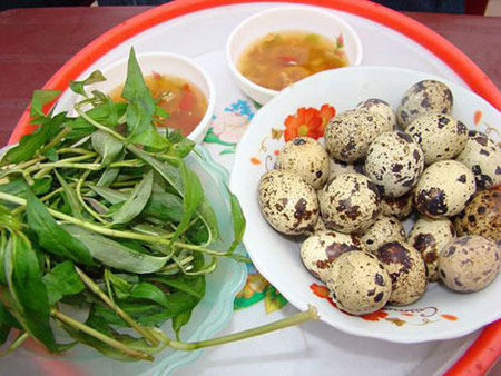 Thuốc bổ quý từ trứng cút - 1