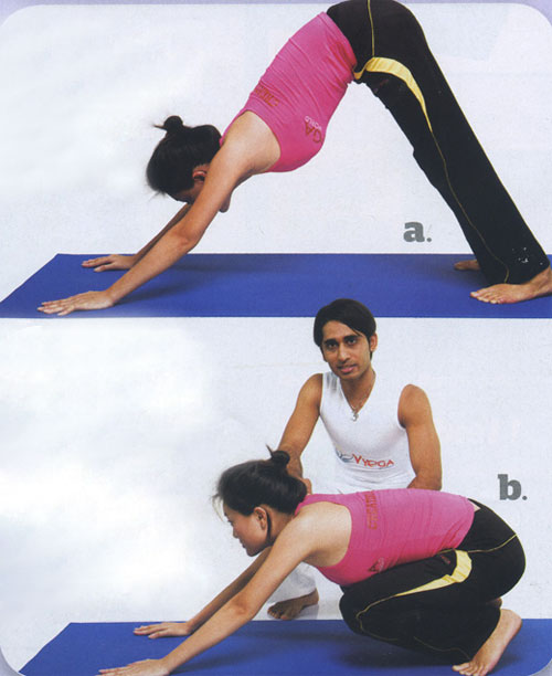 Bài tập yoga chống lão hóa - 6