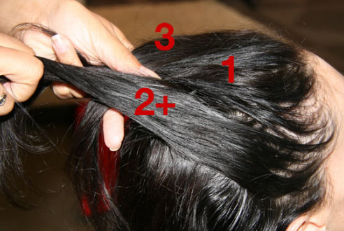 Hướng dẫn cách tết tóc kiểu Pháp - 5