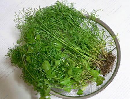 Các loại rau gia vị chữa bệnh - 3