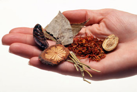 Ngải cứu có thể gây trúng độc - 3