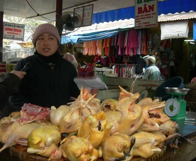 Gà ta mua còn khó hơn... trứng trâu! - 2