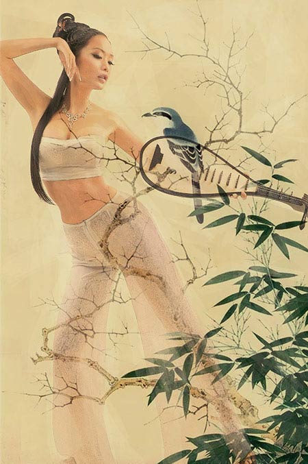 Lê Kiều Như mong manh gảy đàn - 4