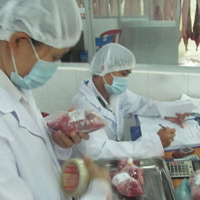 Công bố thịt lợn nhiễm chất cấm