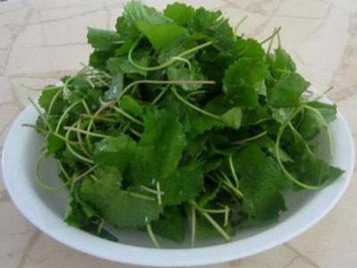 Bài thuốc chữa chứng mồ hôi trộm ở trẻ em - 1