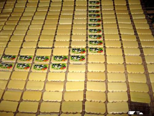 Eva chia sẻ kinh nghiệm chọn chiếu trúc - 1
