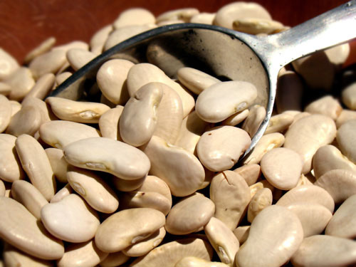 Đậu ván trắng chữa cảm nắng, an thai - 2