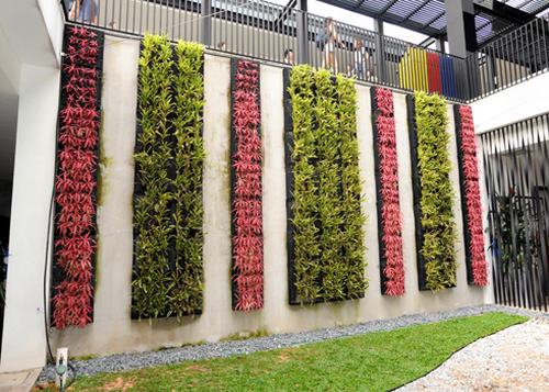"Tuyệt chiêu" mát nhà: Trồng vườn lên tường - 9
