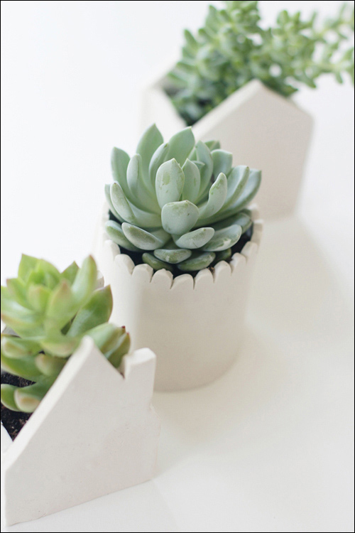 Tự xây nhà nhỏ xíu trồng cây xinh - 8