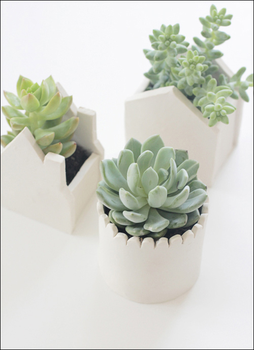 Tự xây nhà nhỏ xíu trồng cây xinh - 9