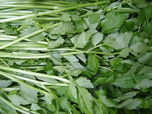 Phòng bệnh khi bầu bí bằng thực phẩm - 4