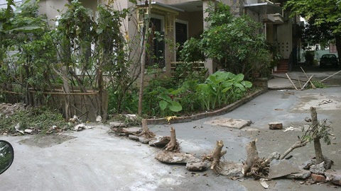 Những kiểu trồng rau sạch chỉ có ở Hà Nội - 7
