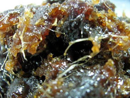 Kinh nghiệm chống nghén tự nhiên - 5