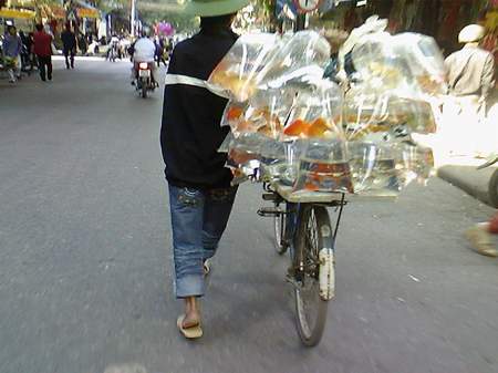 Hà Nội lạ lùng trong mắt blogger Mỹ - 1