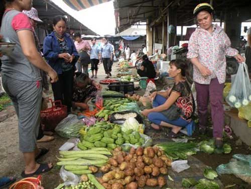 Thời tiết thất thường: Giá rau tăng gấp 3 lần - 1