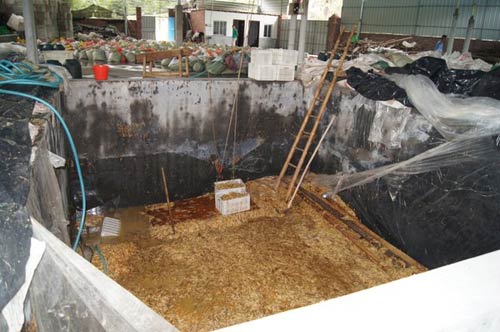 Nấm kim châm bị ngâm hóa chất cực độc ở TQ - 1