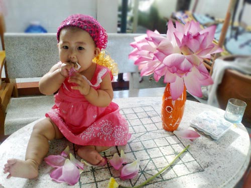 "Bắt quả tang" bé Yumi ngồi nếm... hoa sen - 6
