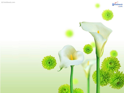 Ma Kết: Nhìn lại những gì mình có được - 2