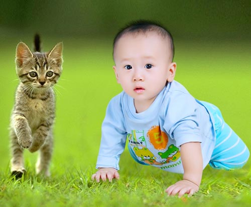 Đã ăn là phải có... nhạc - 1