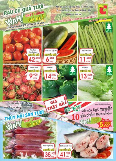 Đến Big C mua lẻ với giá sỉ - 6
