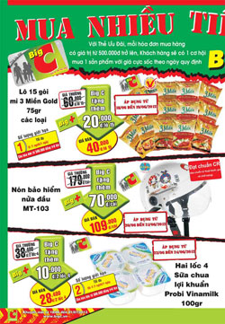 Đến Big C mua lẻ với giá sỉ - 4
