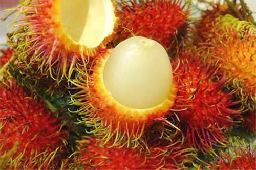 Chọn hoa quả ngon đón tết Đoan Ngọ - 2