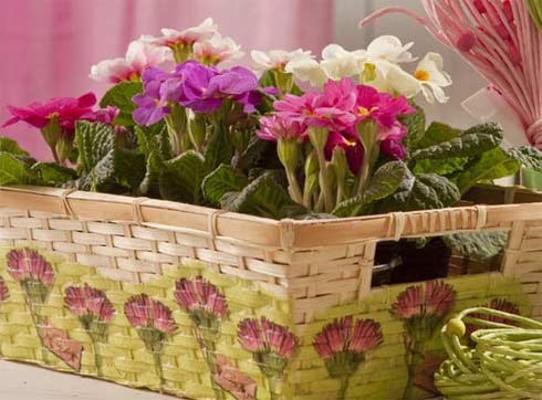 Đầu tuần làm gì cho đời thêm tươi? - 5
