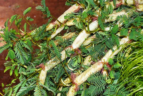 Đi chợ (25/06): Rau rút giá rẻ - 1