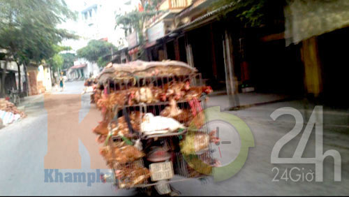 "Giải mã" gà 30.000 đồng/kg - 7